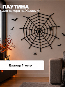 Паутина 