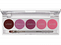 Помада в палитре 5 цв./Lip Rouge Set 5 Colors 10 гр. (Цв: 141) 141