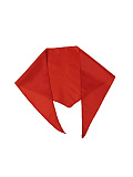 Галстук пионерский (Цв: Красный ) Красный