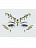 Кристаллы для лица Золотой