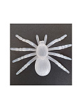 Набор пауков флуоресцентные уп. 2 шт.,7*10 см. (Цв: Белый ) Белый