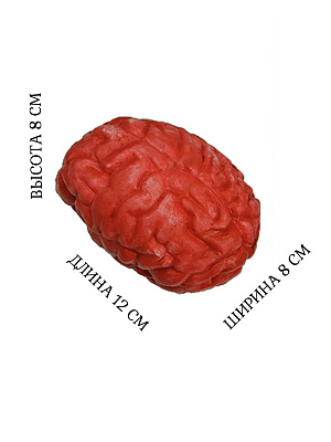Мозг Красный
