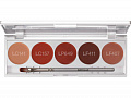 Помада в палитре 5 цв./Lip Rouge Set 5 Colors 10 гр. (Цв: 111) 111