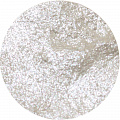 Эмаль зубная металлическая/Tooth Enamel 12 мл. (Цв: Silver) Silver