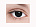 Линза контактная Adria Crazy (vial) 8.6, 1 шт. Black Out