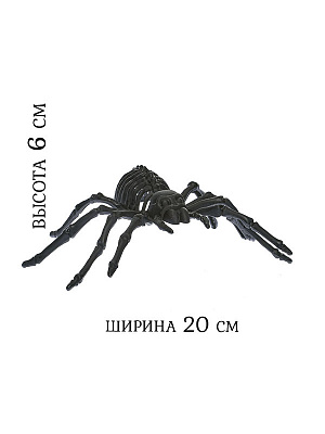 Скелет паука Черный