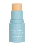 Тон в стике/ Dermacolor Comouflage Stik (Цв: DF1) DF1