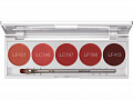 Помада в палитре 5 цв./Lip Rouge Set 5 Colors 10 гр. (Цв: 101) 101