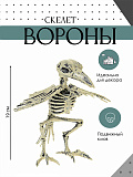 Декорация "Скелет вороны"