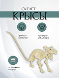 Декорация "Скелет крысы"