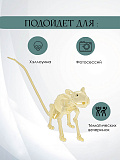 Декорация "Скелет крысы"