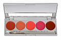 Помада в палитре 5 цв./Lip Rouge Set 5 Colors 10 гр. (Цв: Jewellery) Jewellery