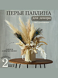 Набор перьев павлина для декора, 2 шт.