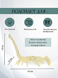 Декорация "Скелет скорпиона"